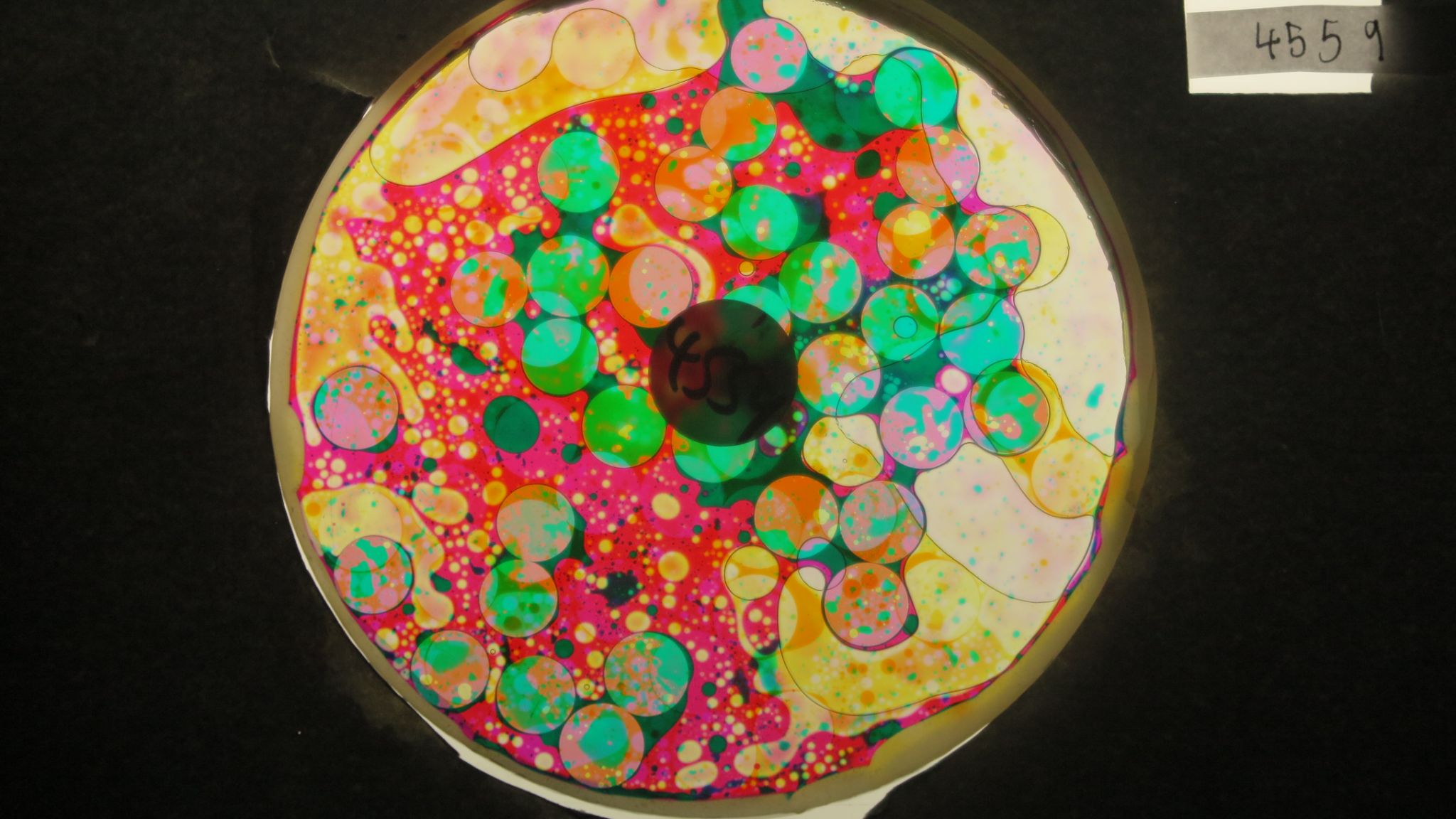 BV4559 bubble vision oil wheel